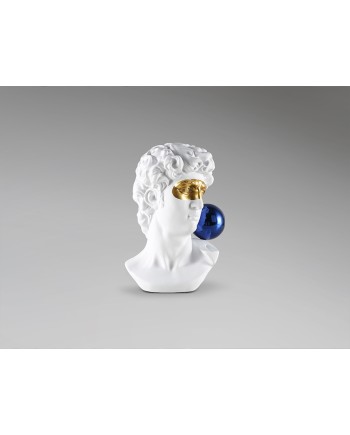 DAVID- BUSTO -COLORES